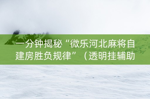 一分钟揭秘“微乐河北麻将自建房胜负规律”（透明挂辅助器)