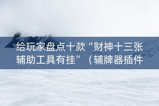 给玩家盘点十款“财神十三张辅助工具有挂”（辅牌器插件购买)