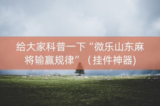 给大家科普一下“微乐山东麻将输赢规律”（挂件神器)