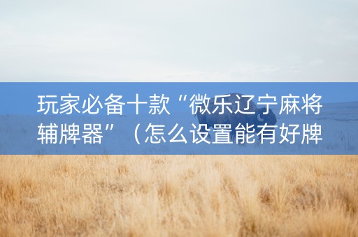 玩家必备十款“微乐辽宁麻将辅牌器”（怎么设置能有好牌)