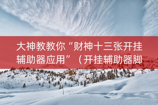 大神教教你“财神十三张开挂辅助器应用”（开挂辅助器脚本)