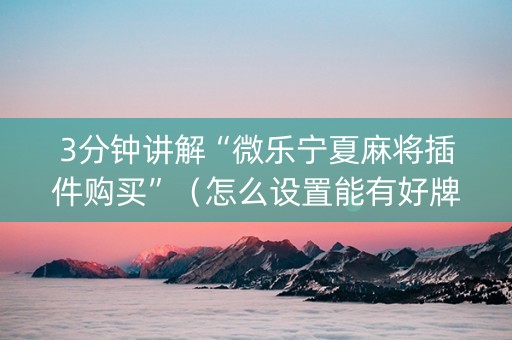 3分钟讲解“微乐宁夏麻将插件购买”（怎么设置能有好牌)