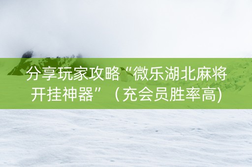 分享玩家攻略“微乐湖北麻将开挂神器”（充会员胜率高)