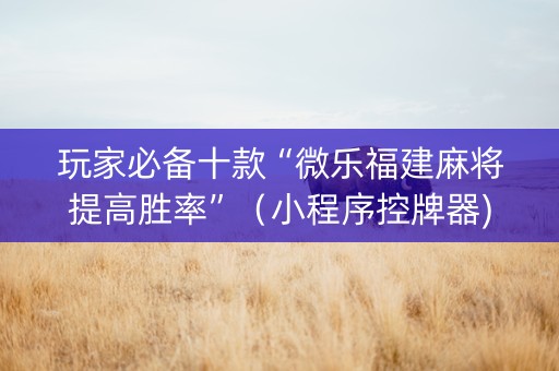 玩家必备十款“微乐福建麻将提高胜率”（小程序控牌器)
