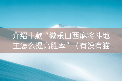 介绍十款“微乐山西麻将斗地主怎么提高胜率”（有没有猫腻)
