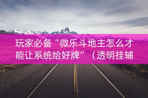 玩家必备“微乐斗地主怎么才能让系统给好牌”（透明挂辅助器)