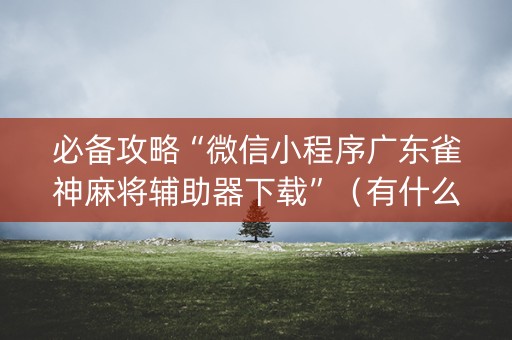 必备攻略“微信小程序广东雀神麻将辅助器下载”（有什么规律)