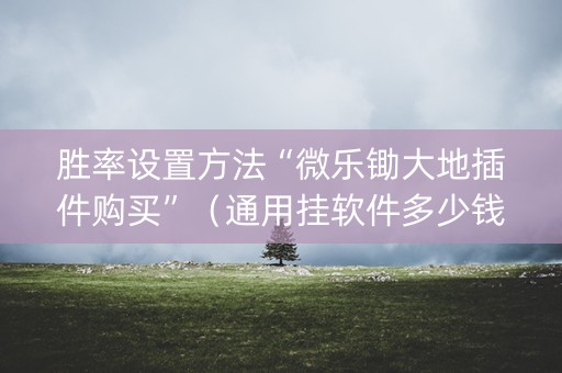 胜率设置方法“微乐锄大地插件购买”（通用挂软件多少钱)