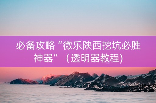 必备攻略“微乐陕西挖坑必胜神器”（透明器教程)