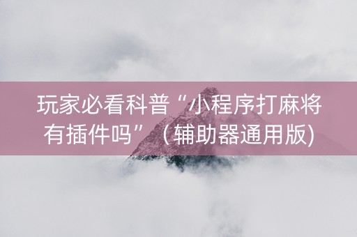 玩家必看科普“小程序打麻将有插件吗”（辅助器通用版)