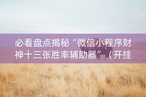 必看盘点揭秘“微信小程序财神十三张胜率辅助器”（开挂辅助插件)