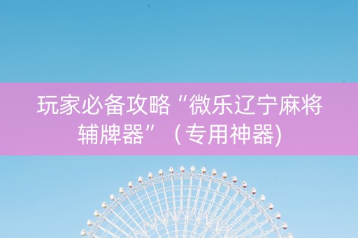 玩家必备攻略“微乐辽宁麻将辅牌器”（专用神器)