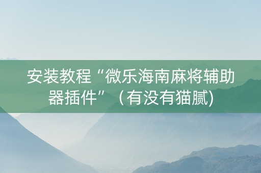 安装教程“微乐海南麻将辅助器插件”（有没有猫腻)