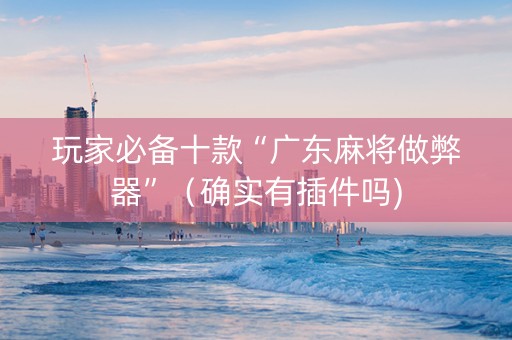 玩家必备十款“广东麻将做弊器”（确实有插件吗)