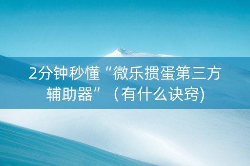 2分钟秒懂“微乐掼蛋第三方辅助器”（有什么诀窍)