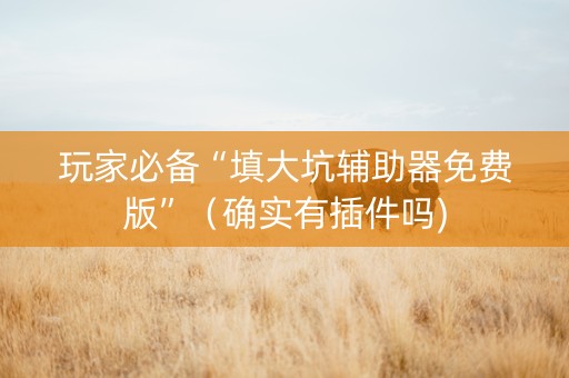 玩家必备“填大坑辅助器免费版”（确实有插件吗)