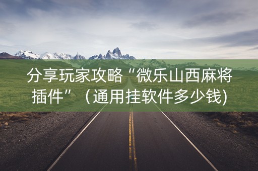 分享玩家攻略“微乐山西麻将插件”（通用挂软件多少钱)
