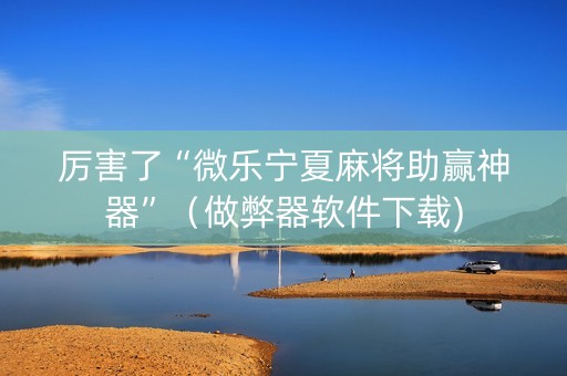 厉害了“微乐宁夏麻将助赢神器”（做弊器软件下载)