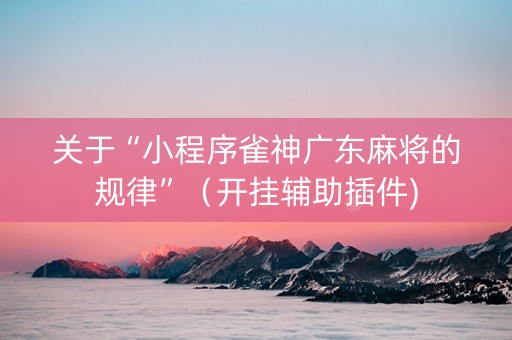 关于“小程序雀神广东麻将的规律”（开挂辅助插件)