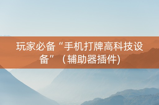 玩家必备“手机打牌高科技设备”（辅助器插件)