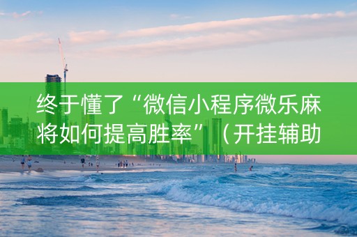 终于懂了“微信小程序微乐麻将如何提高胜率”（开挂辅助器脚本)