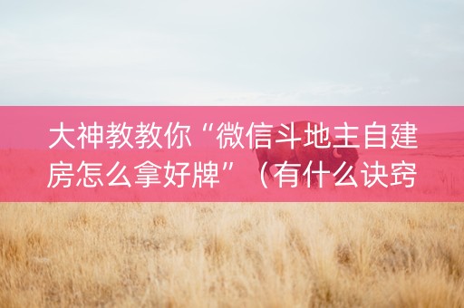 大神教教你“微信斗地主自建房怎么拿好牌”（有什么诀窍)