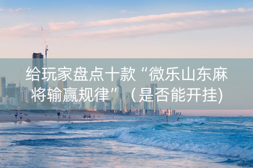 给玩家盘点十款“微乐山东麻将输赢规律”（是否能开挂)