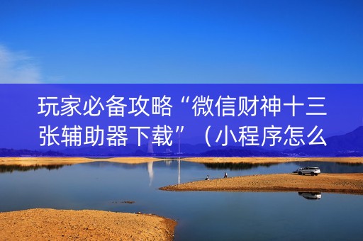 玩家必备攻略“微信财神十三张辅助器下载”（小程序怎么才会赢)