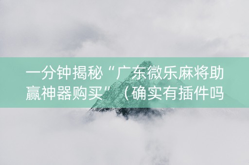 一分钟揭秘“广东微乐麻将助赢神器购买”（确实有插件吗)
