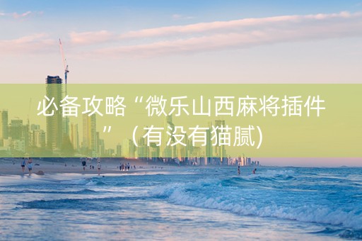 必备攻略“微乐山西麻将插件”（有没有猫腻)