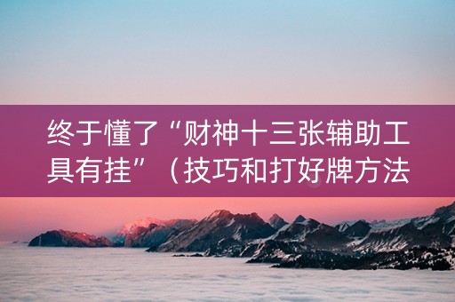 终于懂了“财神十三张辅助工具有挂”（技巧和打好牌方法)