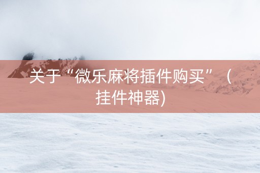 关于“微乐麻将插件购买”（挂件神器)