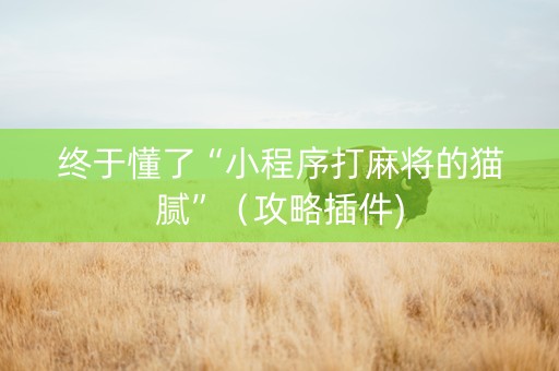 终于懂了“小程序打麻将的猫腻”（攻略插件)