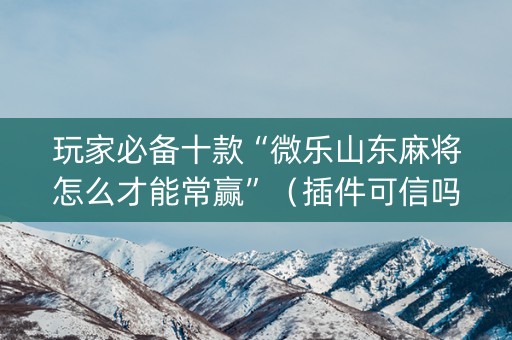 玩家必备十款“微乐山东麻将怎么才能常赢”（插件可信吗)