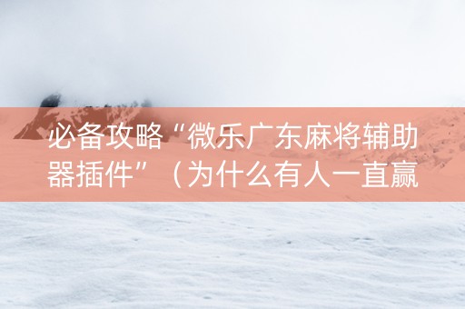必备攻略“微乐广东麻将辅助器插件”（为什么有人一直赢)