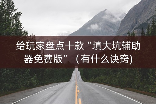给玩家盘点十款“填大坑辅助器免费版”（有什么诀窍)