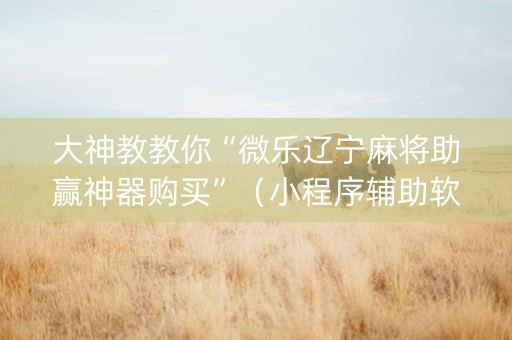 大神教教你“微乐辽宁麻将助赢神器购买”（小程序辅助软件)
