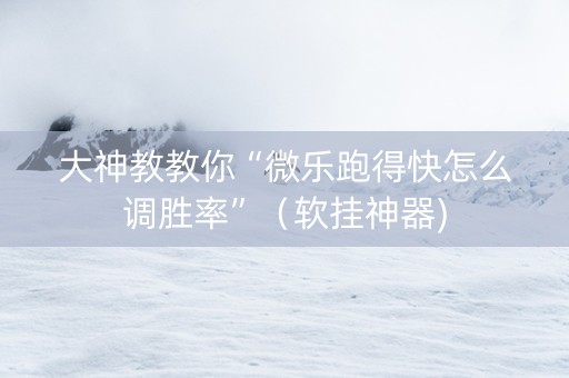 大神教教你“微乐跑得快怎么调胜率”（软挂神器)