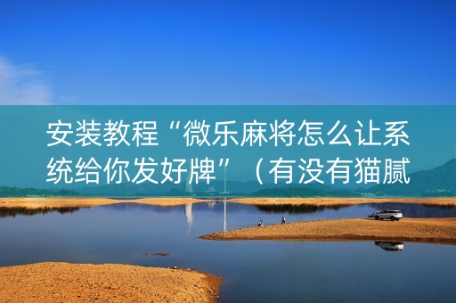 安装教程“微乐麻将怎么让系统给你发好牌”（有没有猫腻)