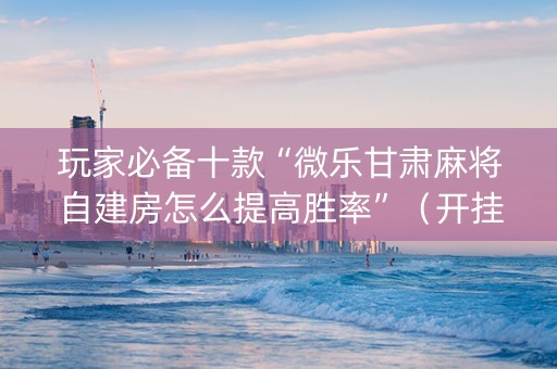 玩家必备十款“微乐甘肃麻将自建房怎么提高胜率”（开挂辅助脚本)