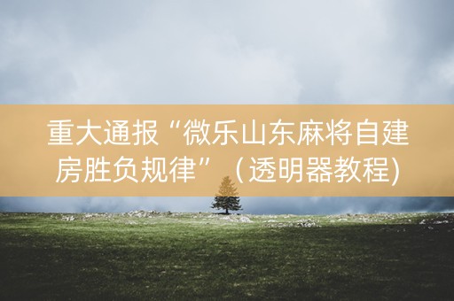 重大通报“微乐山东麻将自建房胜负规律”（透明器教程)