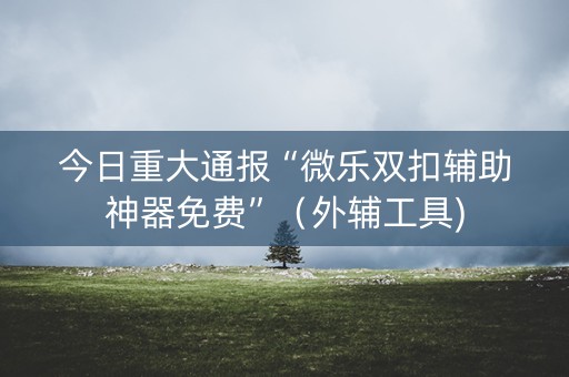今日重大通报“微乐双扣辅助神器免费”（外辅工具)