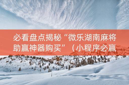 必看盘点揭秘“微乐湖南麻将助赢神器购买”（小程序必赢神器)