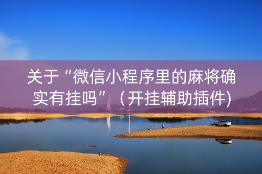 关于“微信小程序里的麻将确实有挂吗”（开挂辅助插件)