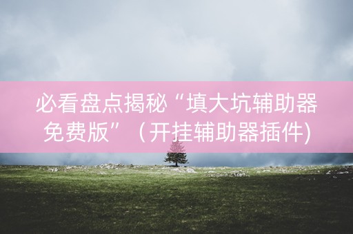 必看盘点揭秘“填大坑辅助器免费版”（开挂辅助器插件)