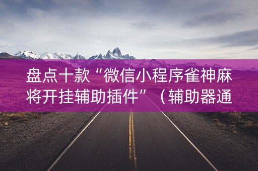 盘点十款“微信小程序雀神麻将开挂辅助插件”（辅助器通用版)