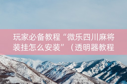 玩家必备教程“微乐四川麻将装挂怎么安装”（透明器教程)