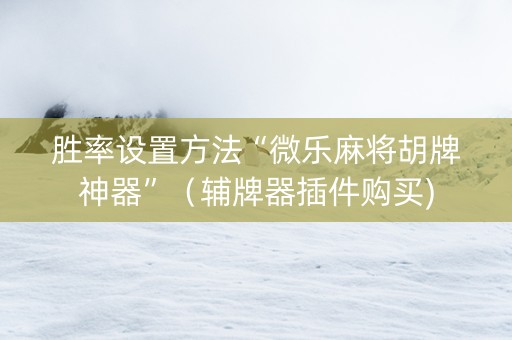 胜率设置方法“微乐麻将胡牌神器”（辅牌器插件购买)
