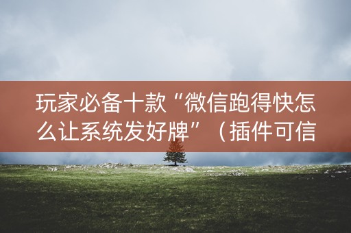 玩家必备十款“微信跑得快怎么让系统发好牌”（插件可信吗)