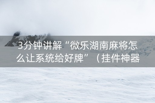 3分钟讲解“微乐湖南麻将怎么让系统给好牌”（挂件神器)